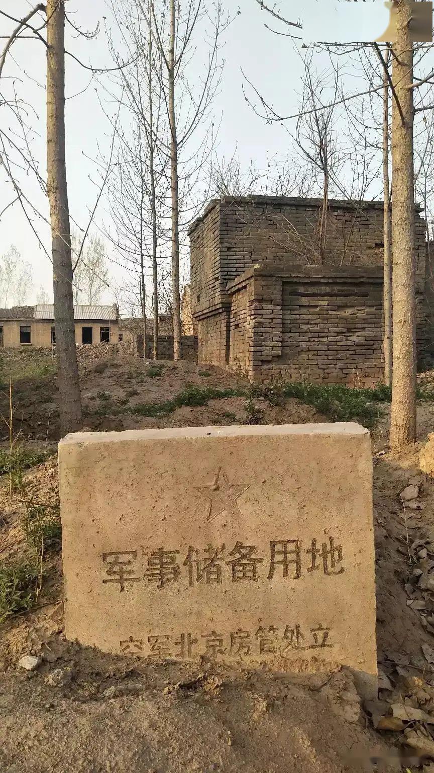 砖墙前 中度可信度描述已自动生成